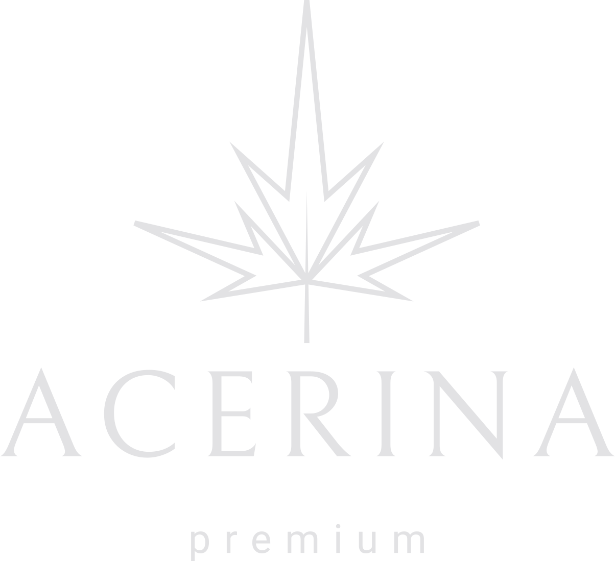 Logo Galerie